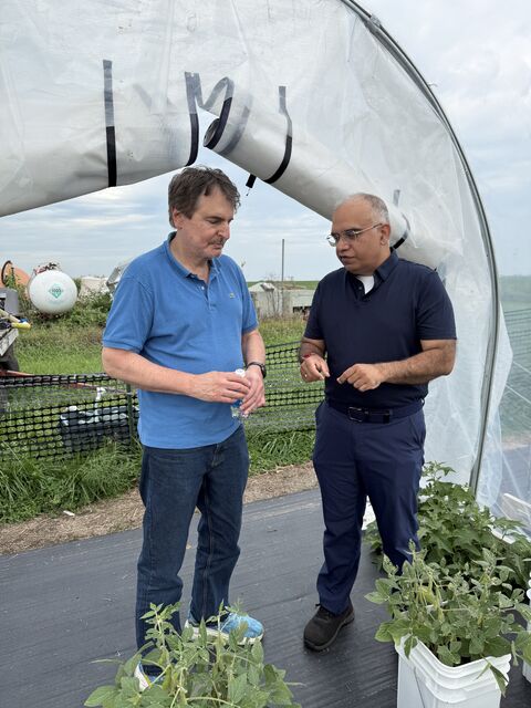 Two men talking at the entrance of a plastic hoop house with potted plants in the foreground.